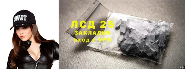 шишки Арсеньев