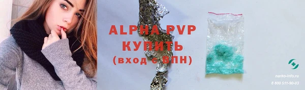 шишки Арсеньев