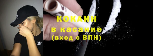шишки Арсеньев