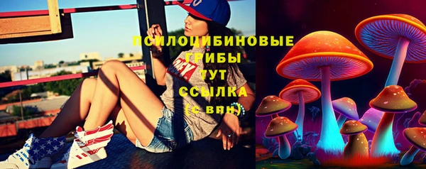 MDMA Алексеевка