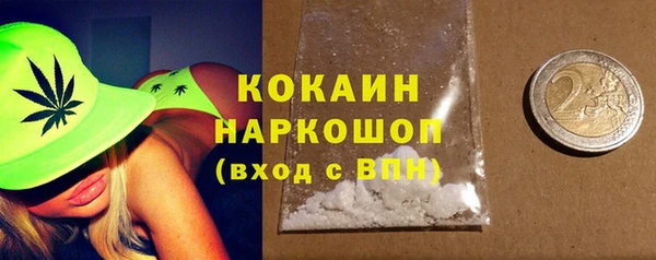 шишки Арсеньев