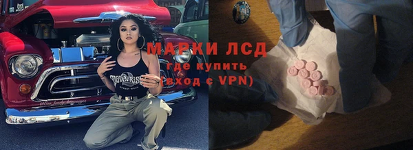 шишки Арсеньев