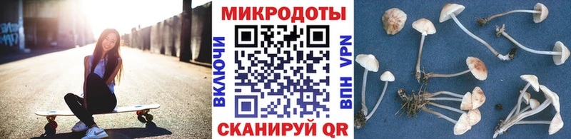 Псилоцибиновые грибы Psilocybine cubensis  Купить  Тырныауз 
