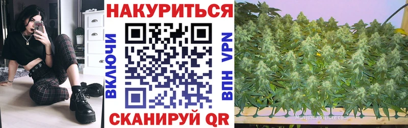 Шишки марихуана Bruce Banner  Купить где  Тырныауз 